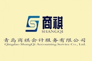 數(shù)據(jù)線出口專業(yè)市場的會計服務(wù)需求與應(yīng)對策略